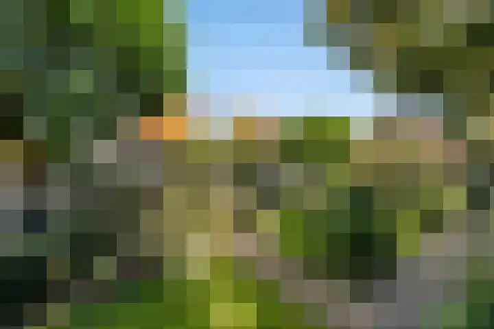 Trekpad 30 Burgwerd thumbnail 37