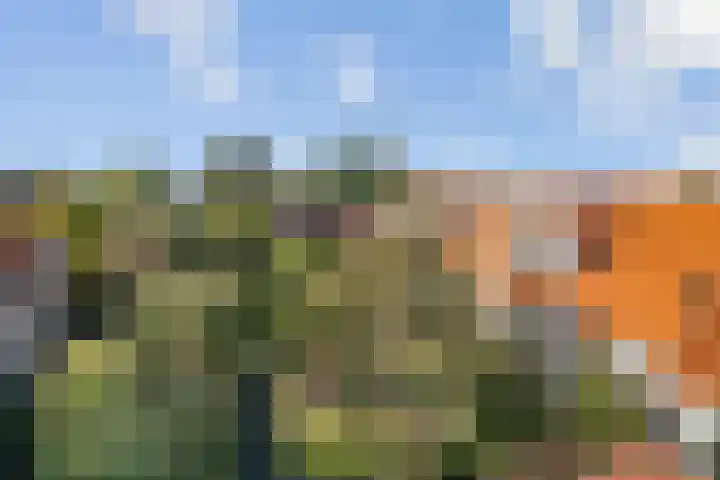 Trekpad 30 Burgwerd thumbnail 38