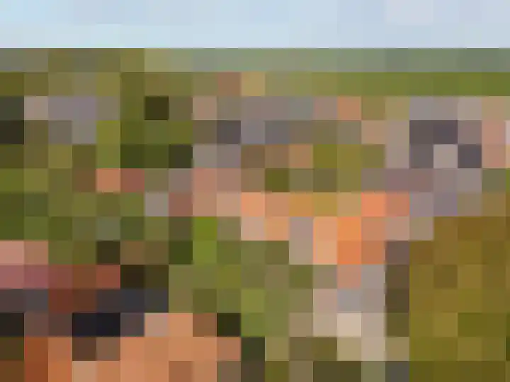 Trekpad 30 Burgwerd thumbnail 39