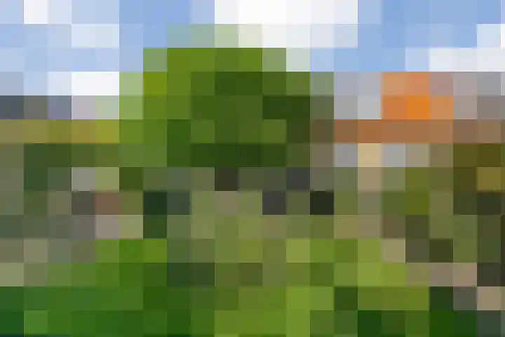 Trekpad 30 Burgwerd thumbnail 4