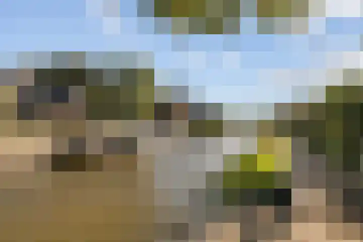 Trekpad 30 Burgwerd thumbnail 41