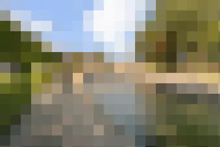 Trekpad 30 Burgwerd thumbnail 42