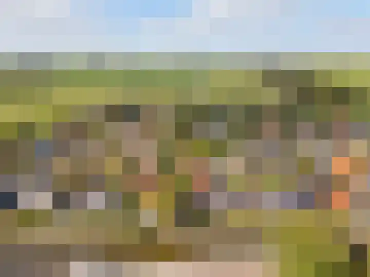 Trekpad 30 Burgwerd thumbnail 44