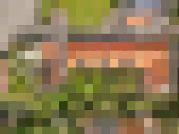 Trekpad 30 Burgwerd thumbnail 5