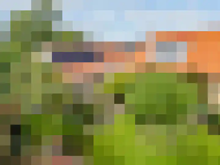 Trekpad 30 Burgwerd thumbnail 6