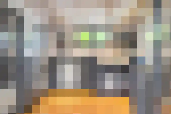 Trekpad 30 Burgwerd thumbnail 9
