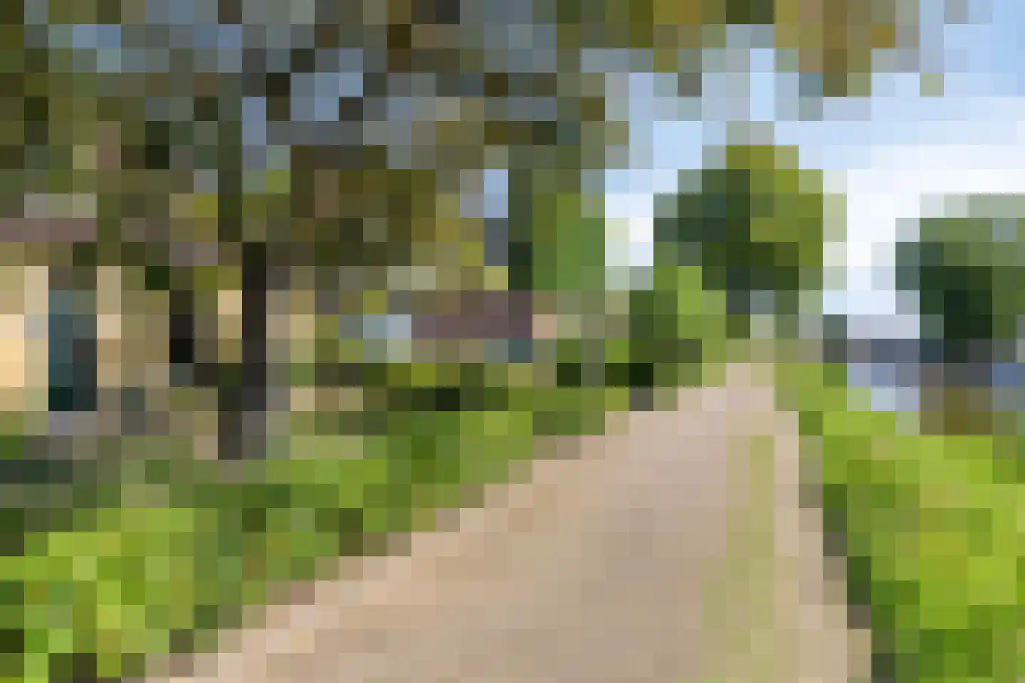 Trekpad 40 Burgwerd thumbnail 13