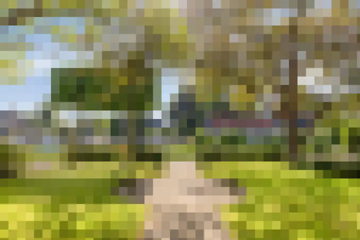Trekpad 40 Burgwerd thumbnail 16