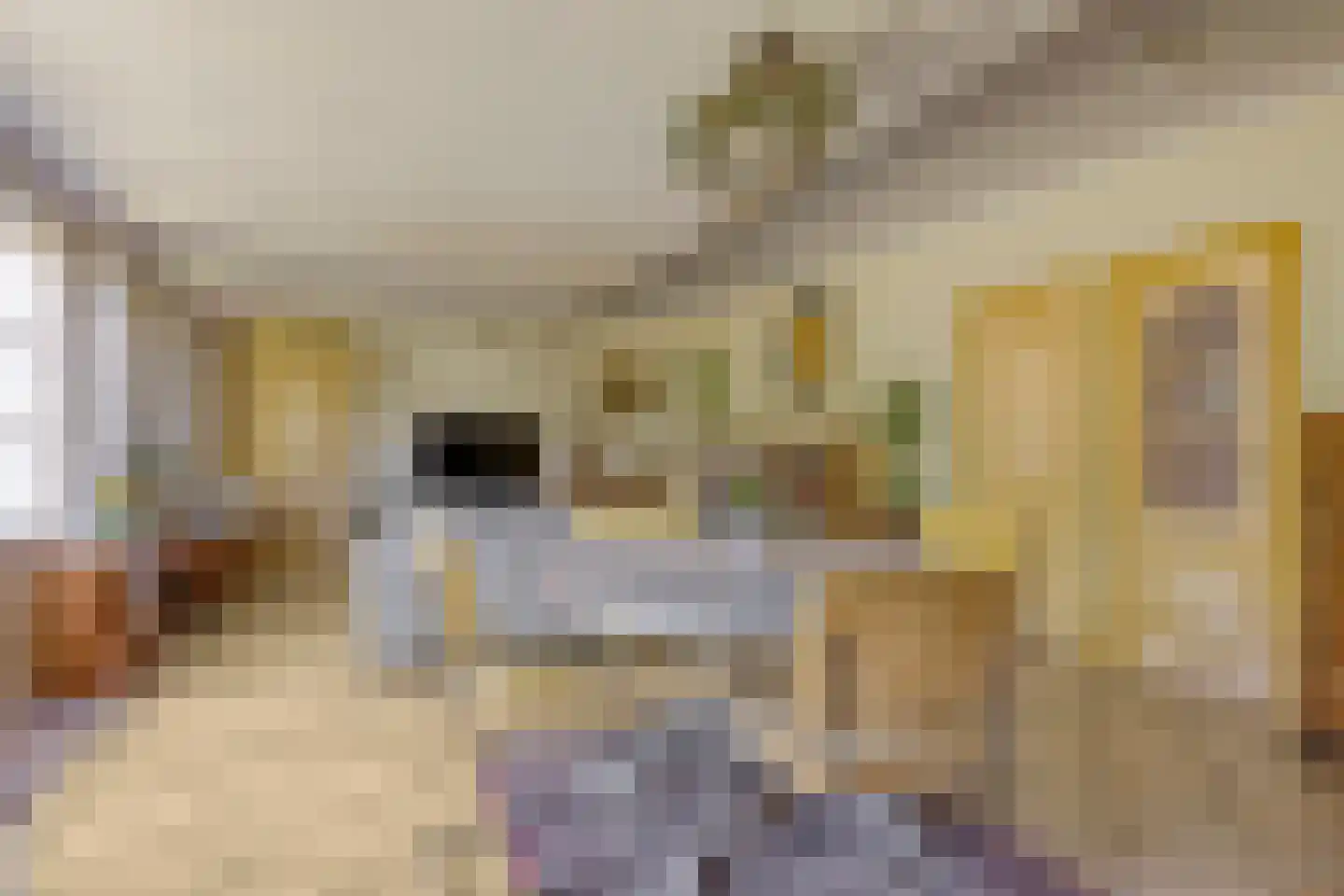 Trekpad 40 Burgwerd thumbnail 30