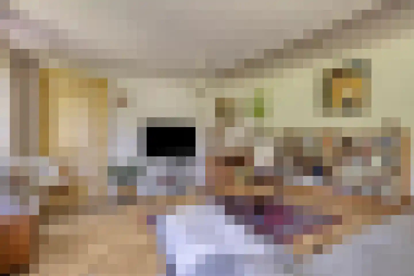 Trekpad 40 Burgwerd thumbnail 32