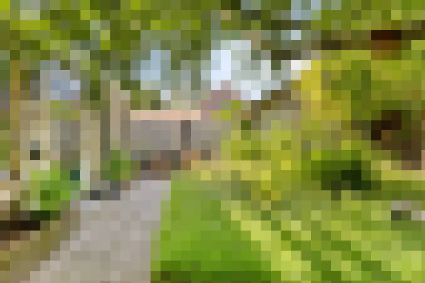 Trekpad 40 Burgwerd thumbnail 52