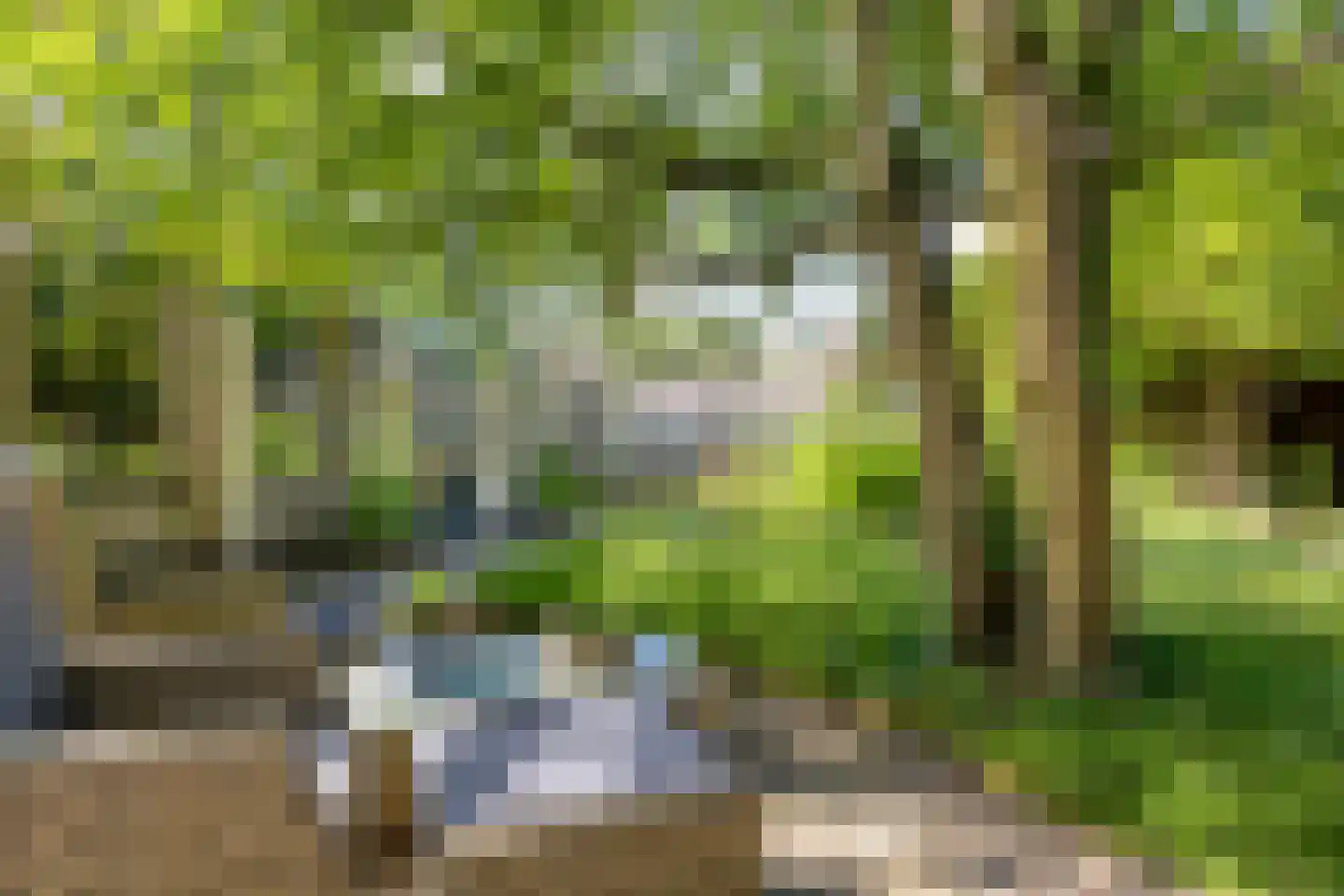 Trekpad 40 Burgwerd thumbnail 53