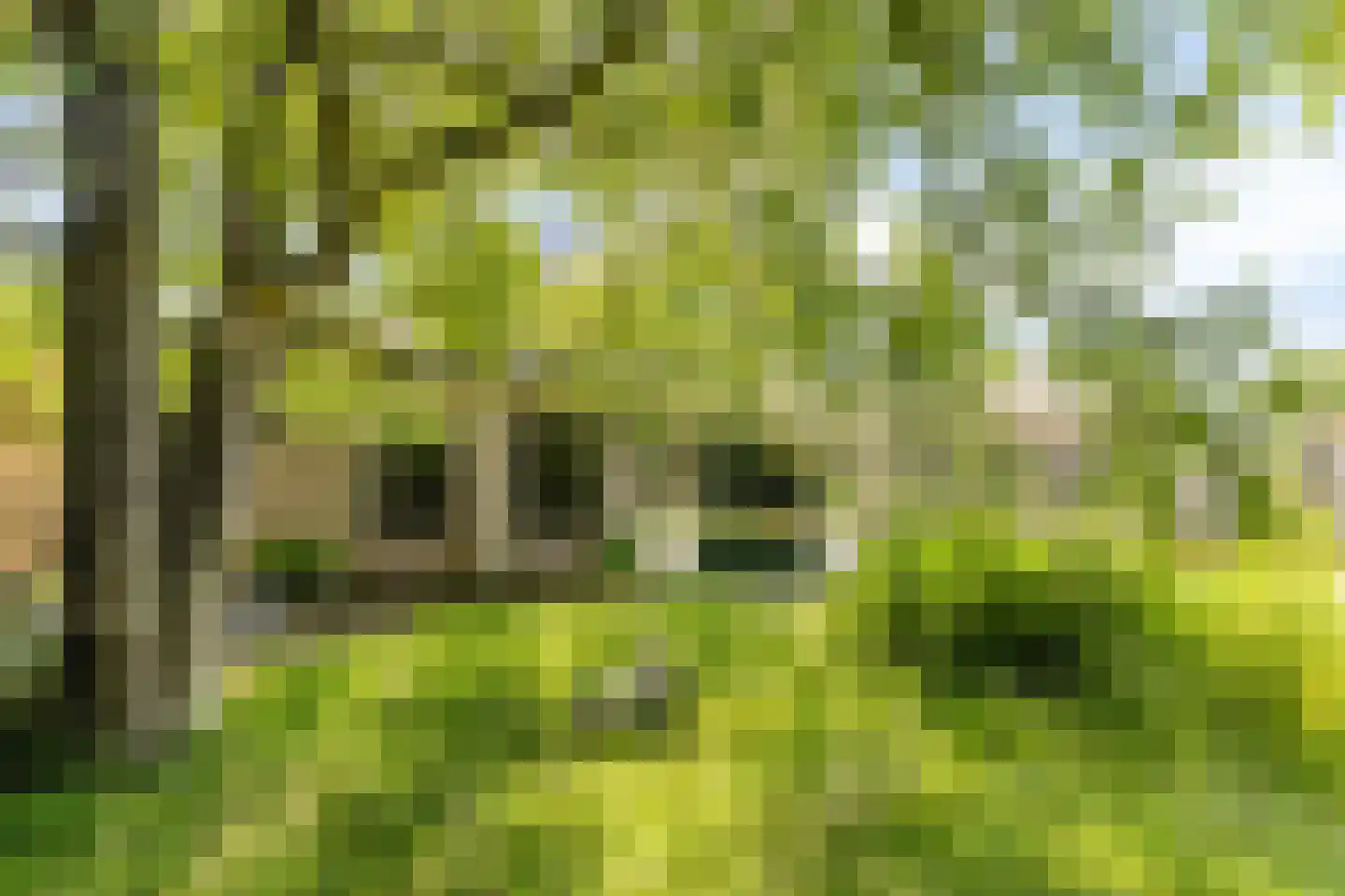 Trekpad 40 Burgwerd thumbnail 54