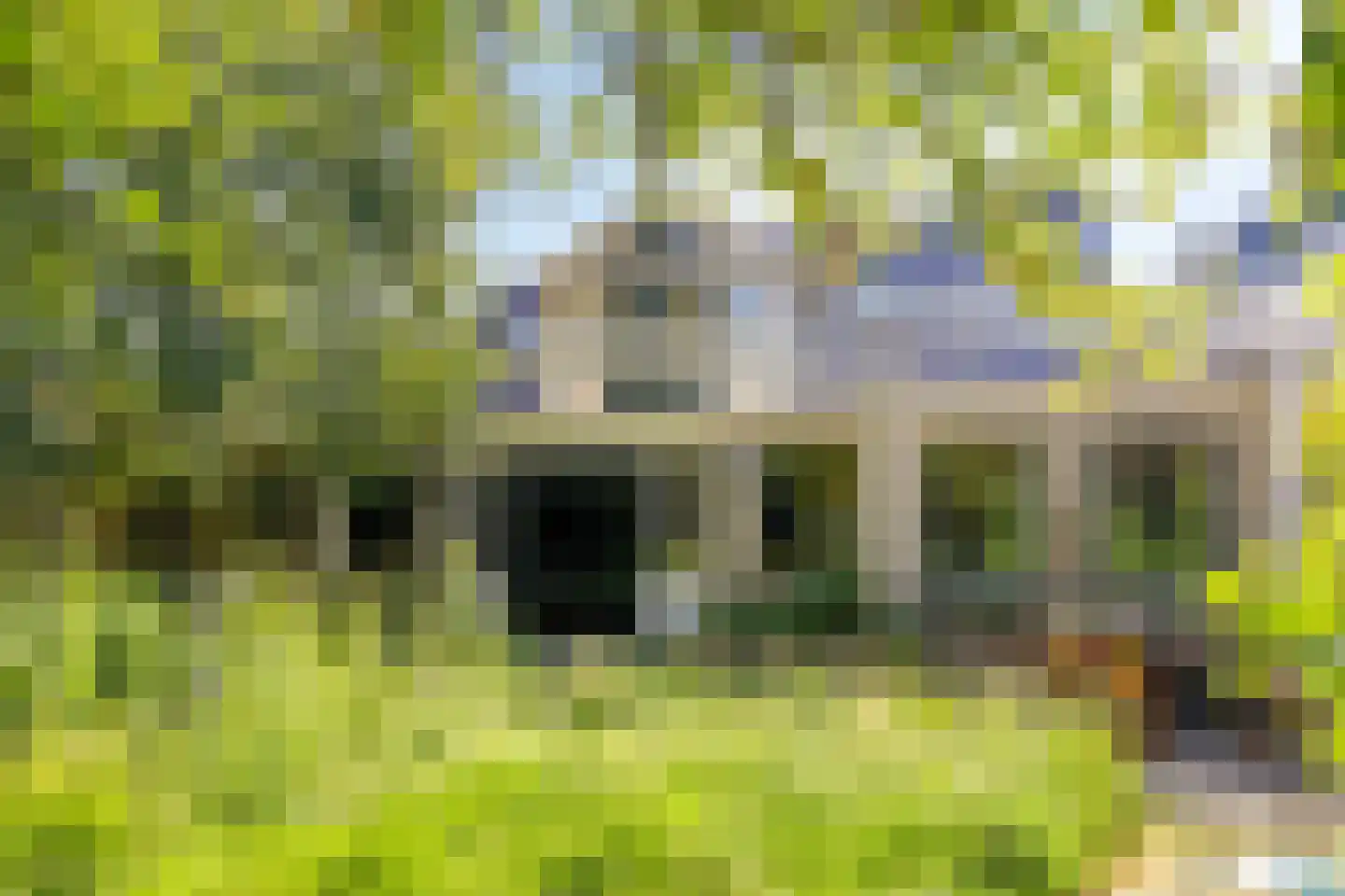 Trekpad 40 Burgwerd thumbnail 55