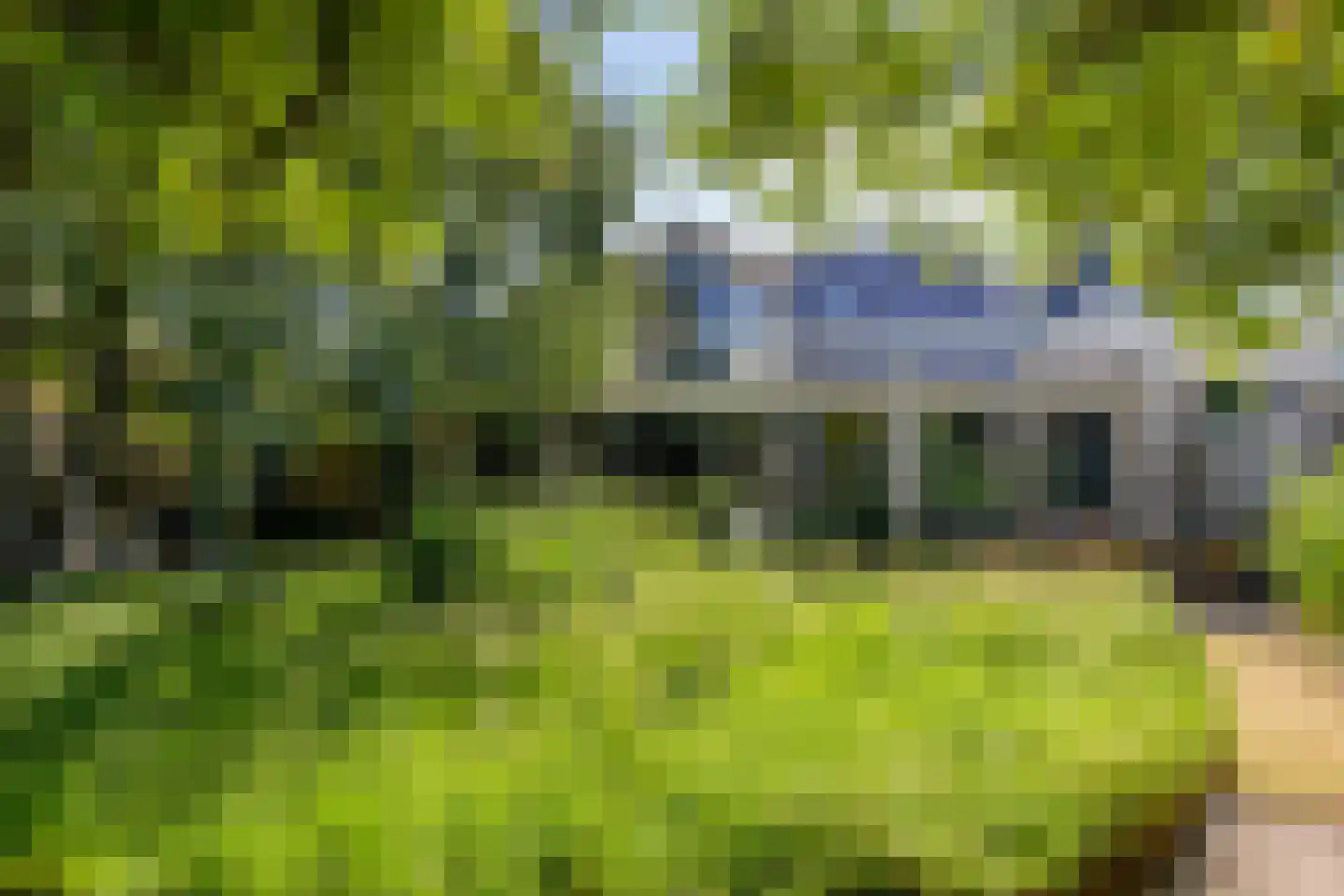Trekpad 40 Burgwerd thumbnail 56