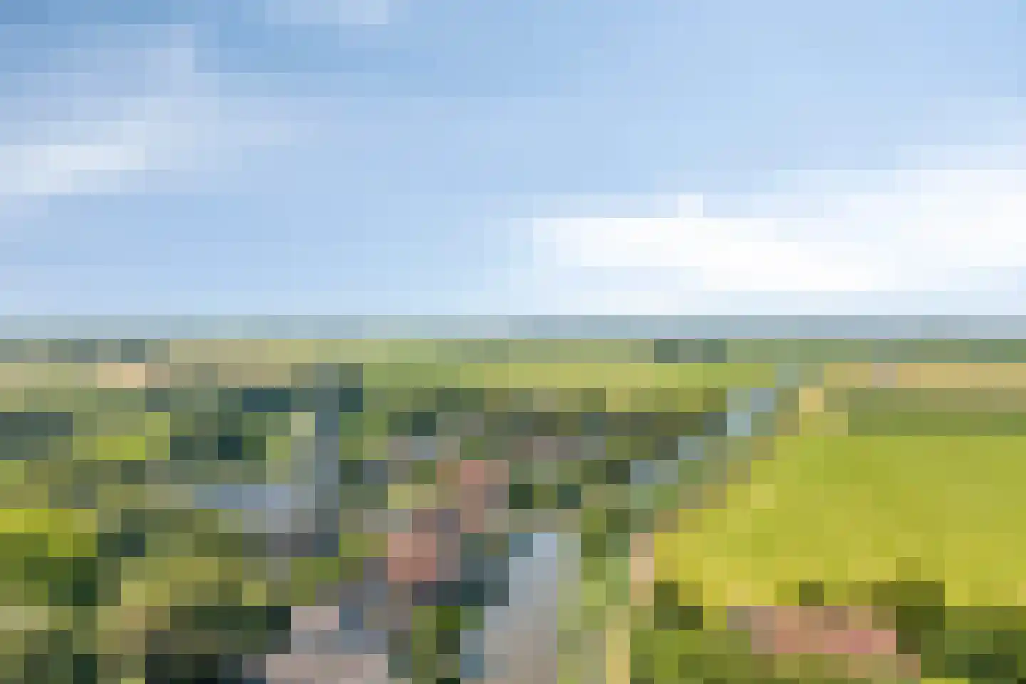 Trekpad 40 Burgwerd thumbnail 60