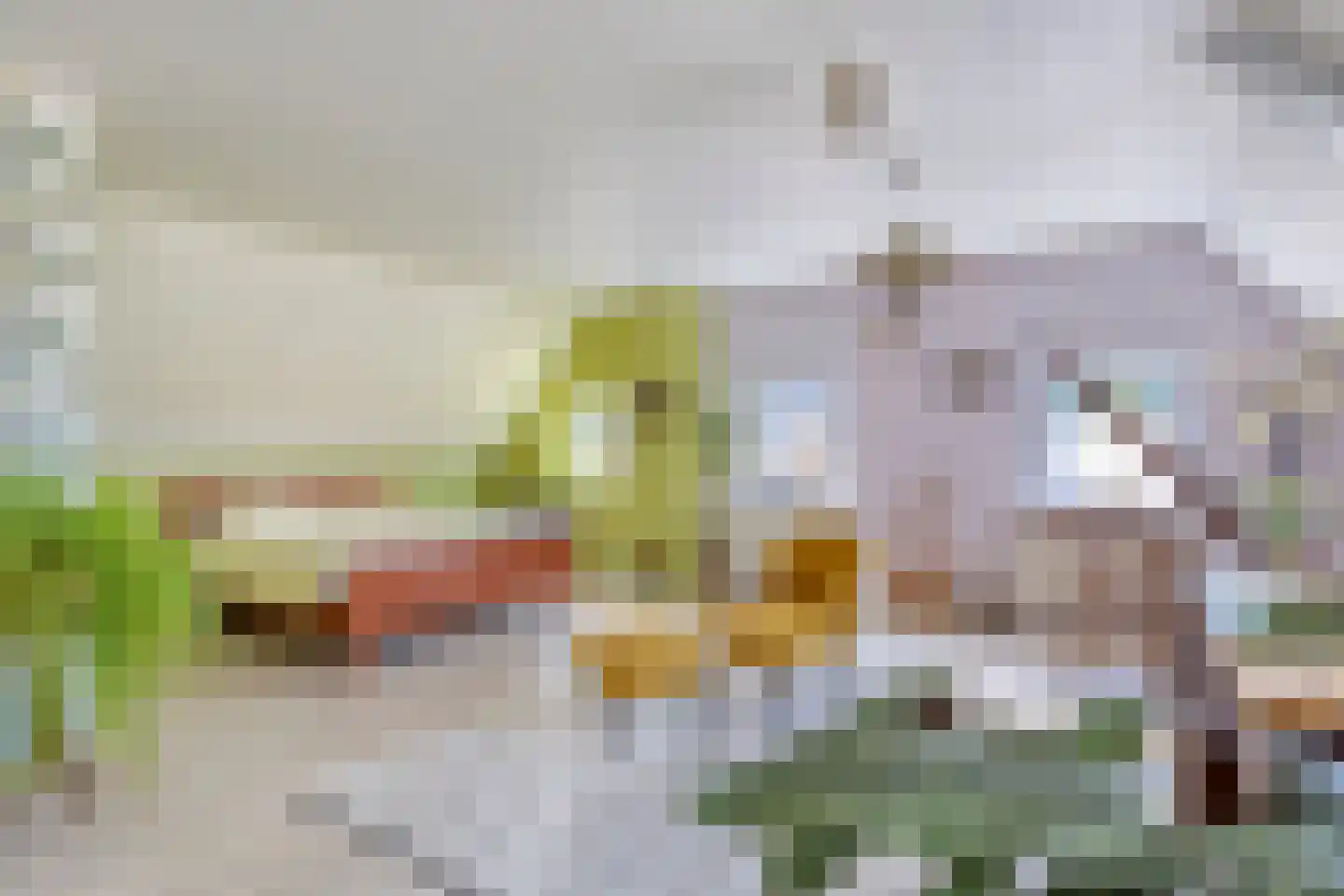 Trekpad 40 Burgwerd thumbnail 8