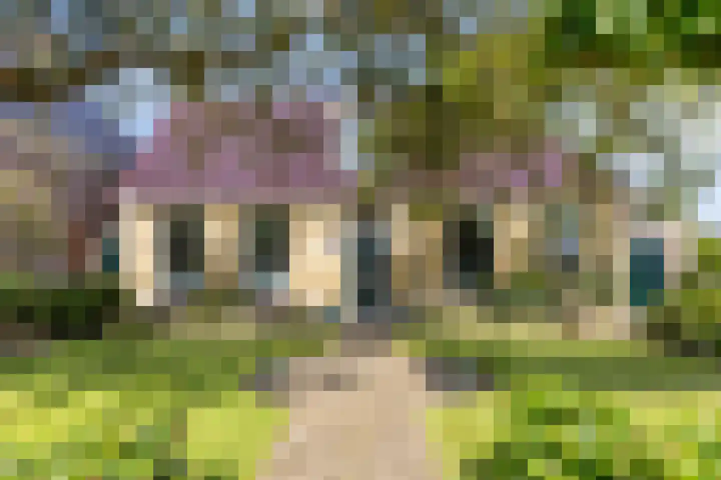 Trekpad 40 Burgwerd thumbnail 9