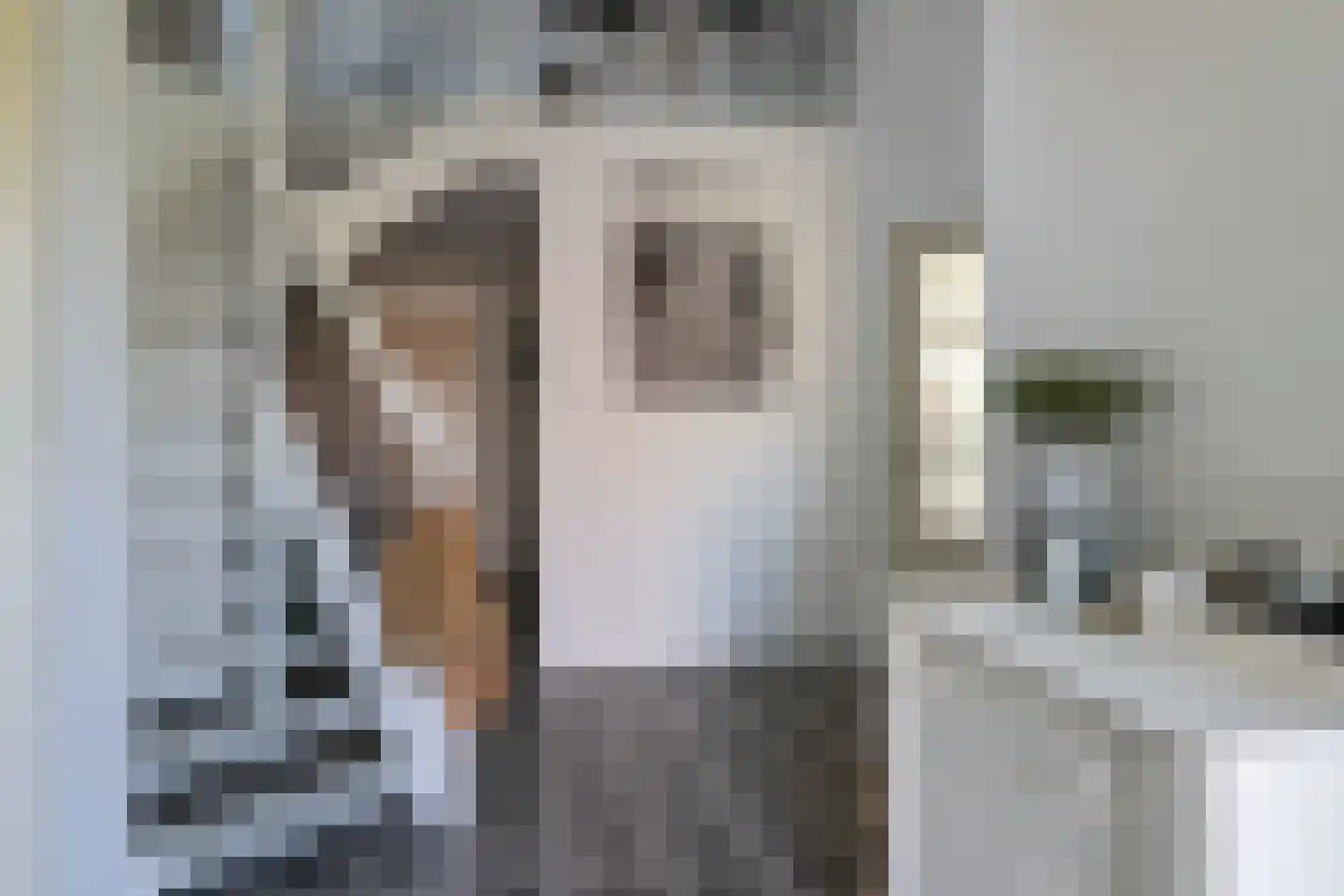 Trekskûte 23 Scharnegoutum thumbnail 13