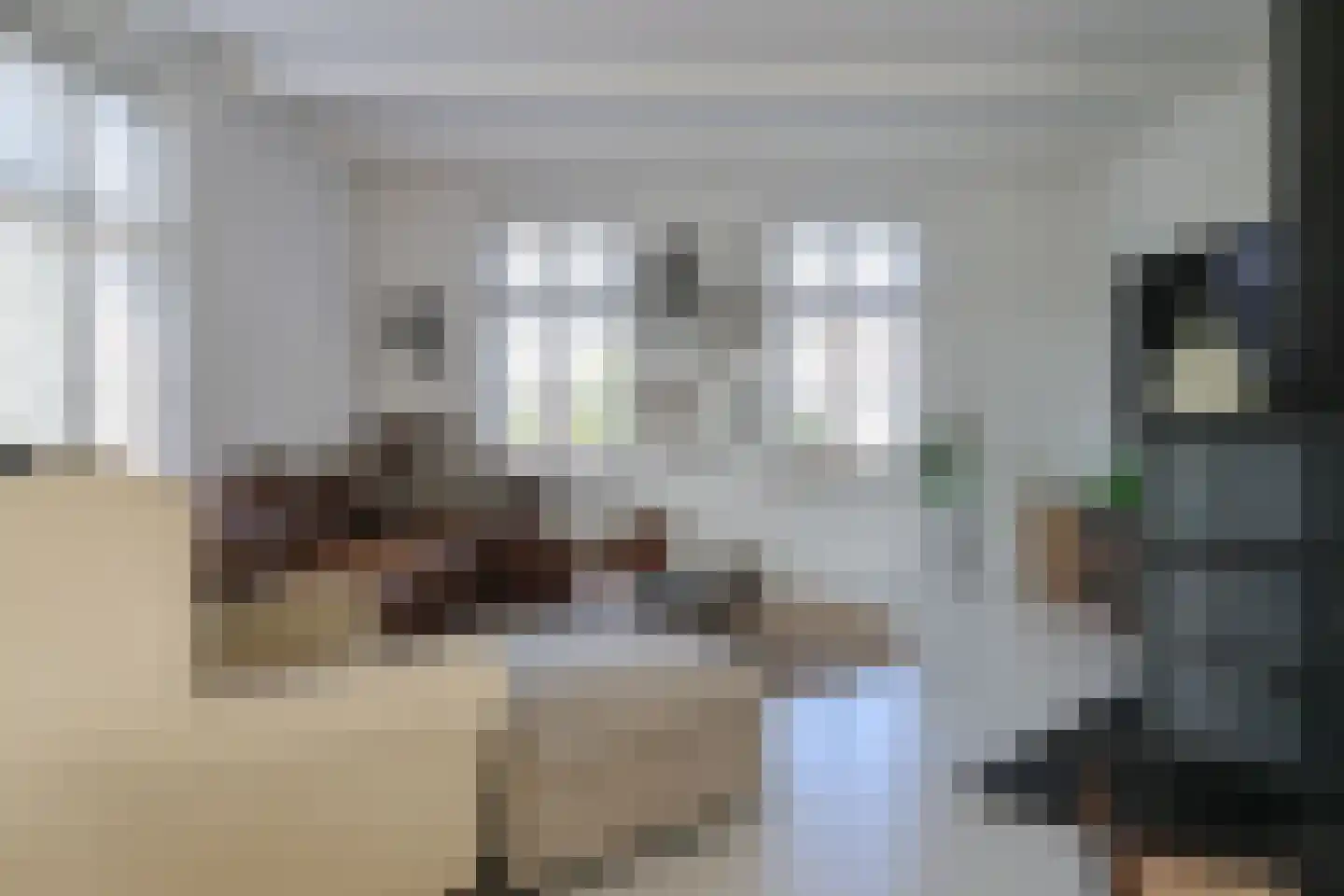 Trekskûte 23 Scharnegoutum thumbnail 16