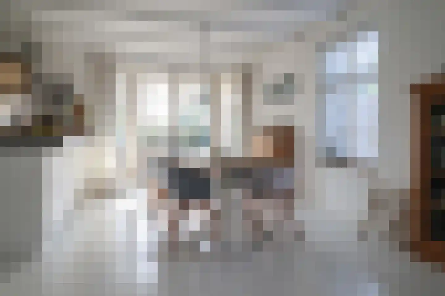Trekskûte 23 Scharnegoutum thumbnail 21