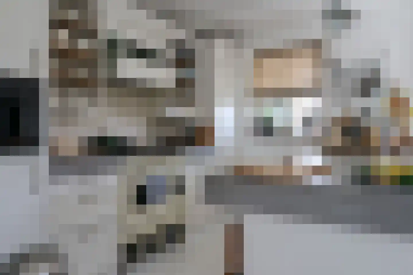Trekskûte 23 Scharnegoutum thumbnail 25