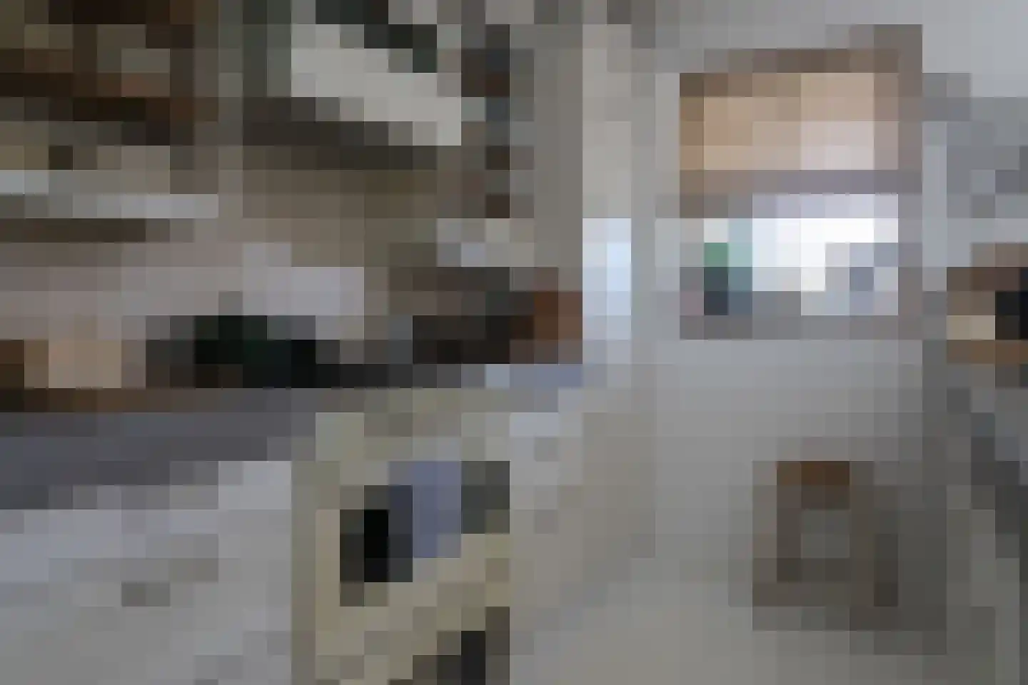 Trekskûte 23 Scharnegoutum thumbnail 26