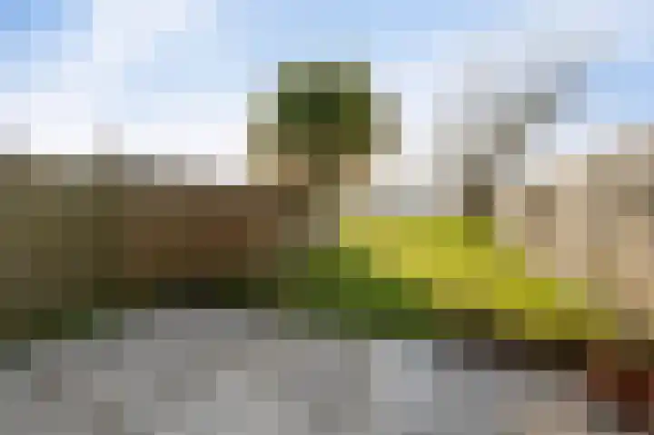 Trekvaart 109 IJsselmuiden thumbnail 5