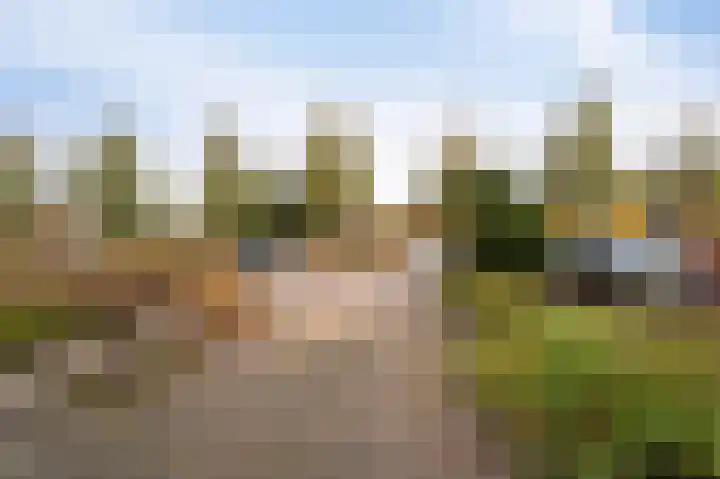 Trekvaart 109 IJsselmuiden thumbnail 9