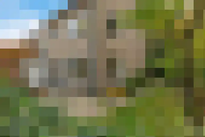 Trekvaart 63 IJsselmuiden thumbnail 6