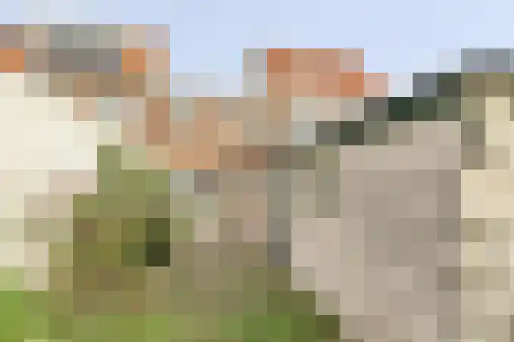 Trekvaart 75 IJsselmuiden thumbnail 23