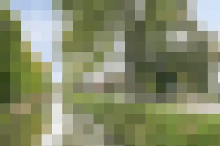 Trekvaart 75 IJsselmuiden thumbnail 27