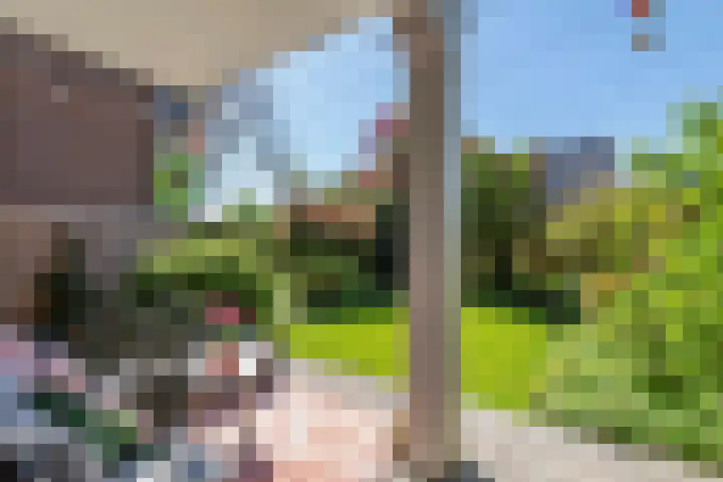 Trekvalk 40 Veenendaal thumbnail 18