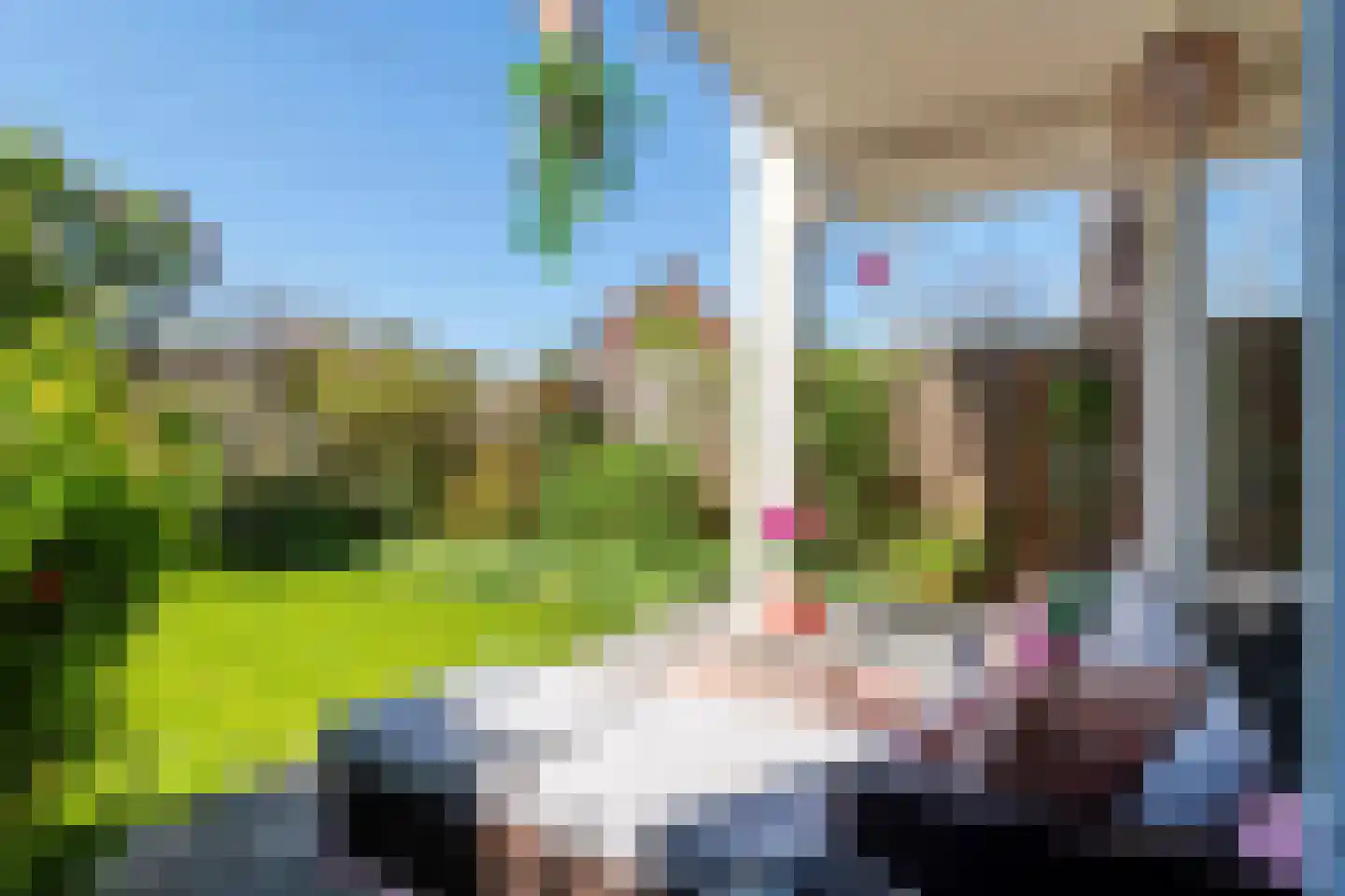 Trekvalk 40 Veenendaal thumbnail 19