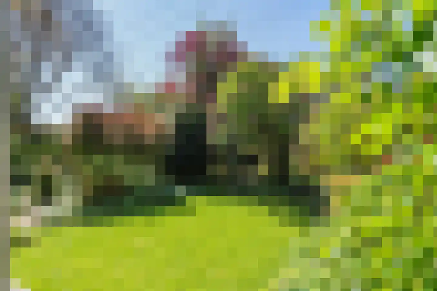 Trekvalk 40 Veenendaal thumbnail 20