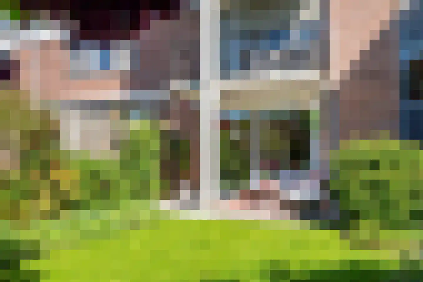 Trekvalk 40 Veenendaal thumbnail 21