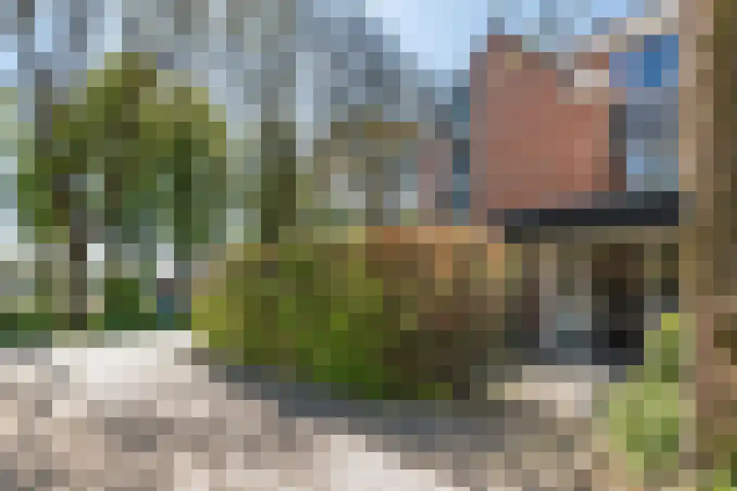 Trekvalk 40 Veenendaal thumbnail 30