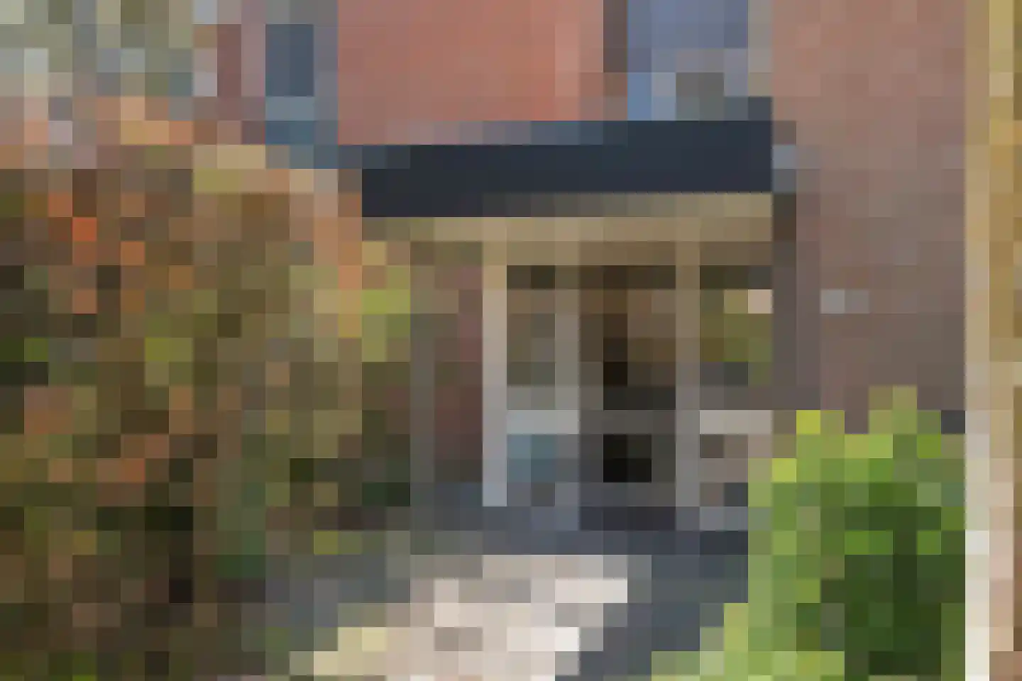 Trekvalk 40 Veenendaal thumbnail 4