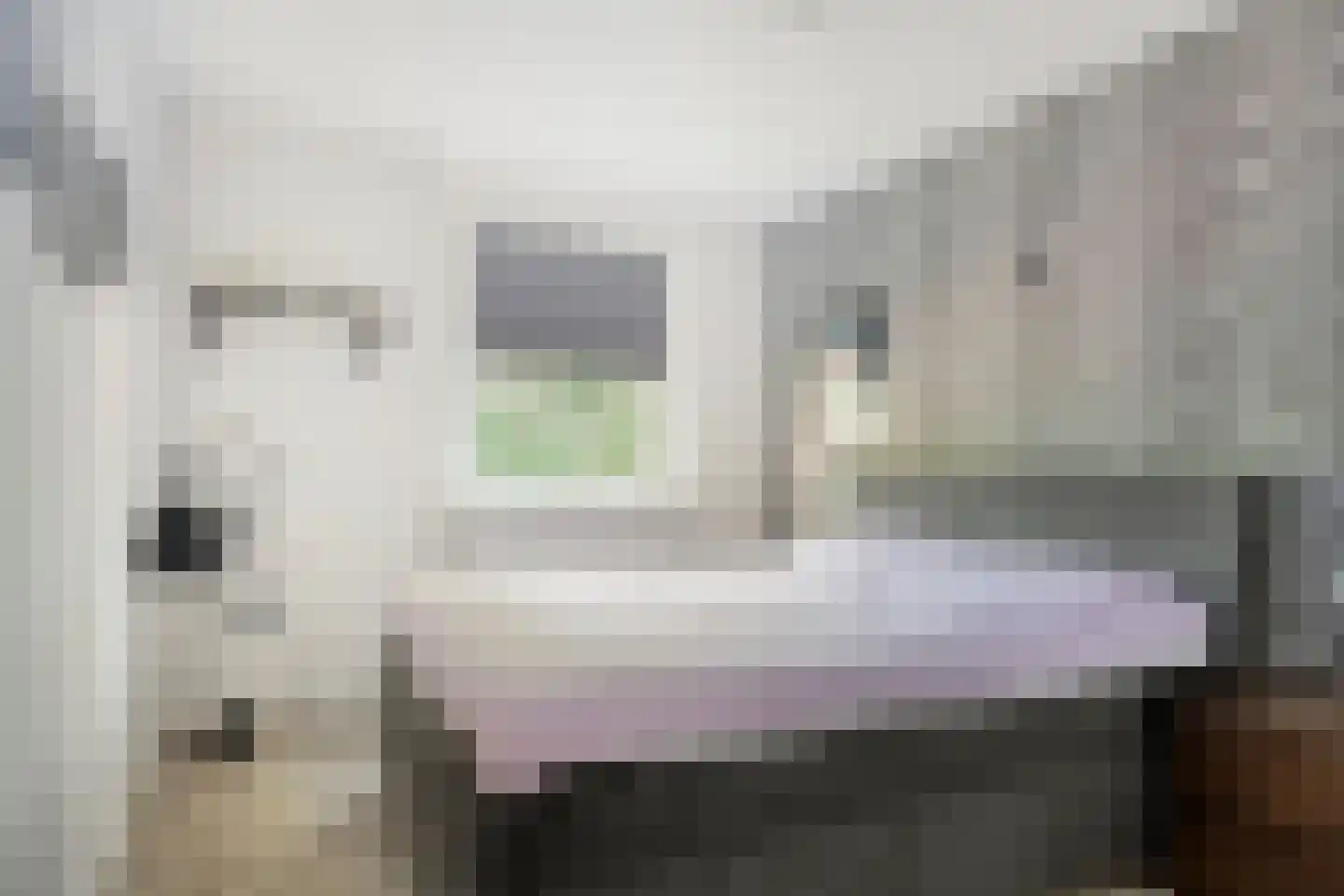 Trekvalk 46 Veenendaal thumbnail 13