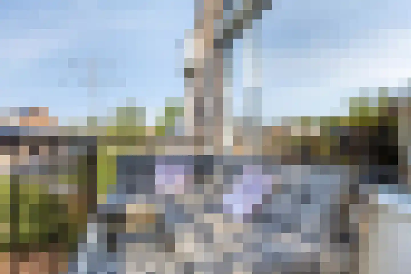 Trekvalk 46 Veenendaal thumbnail 15