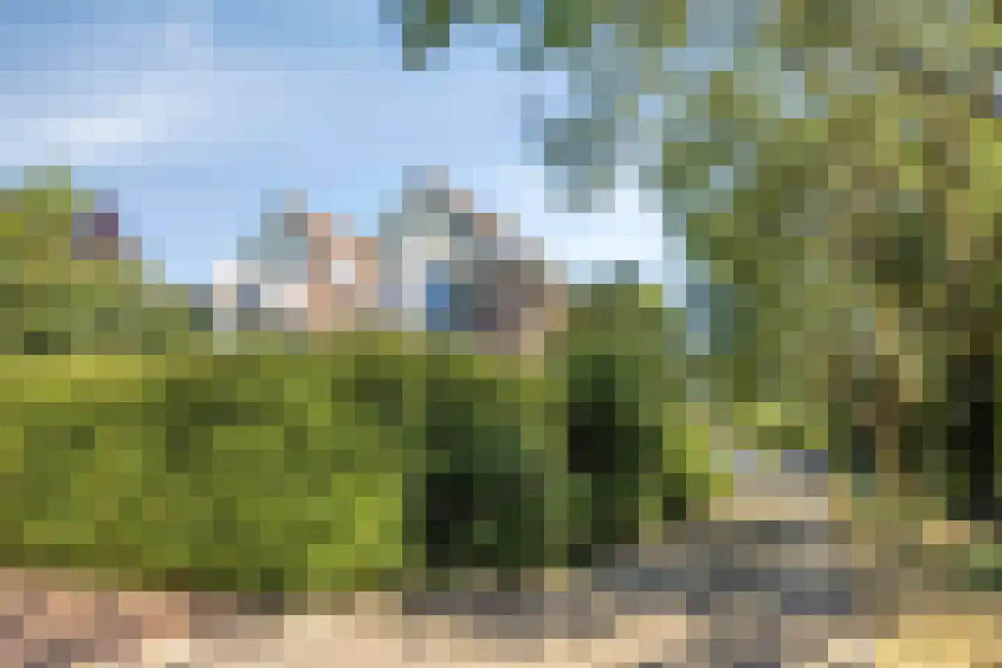 Trekvalk 46 Veenendaal thumbnail 22