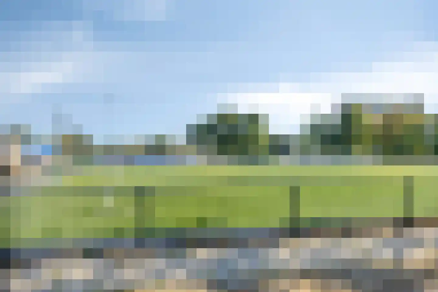 Trekvalk 46 Veenendaal thumbnail 24