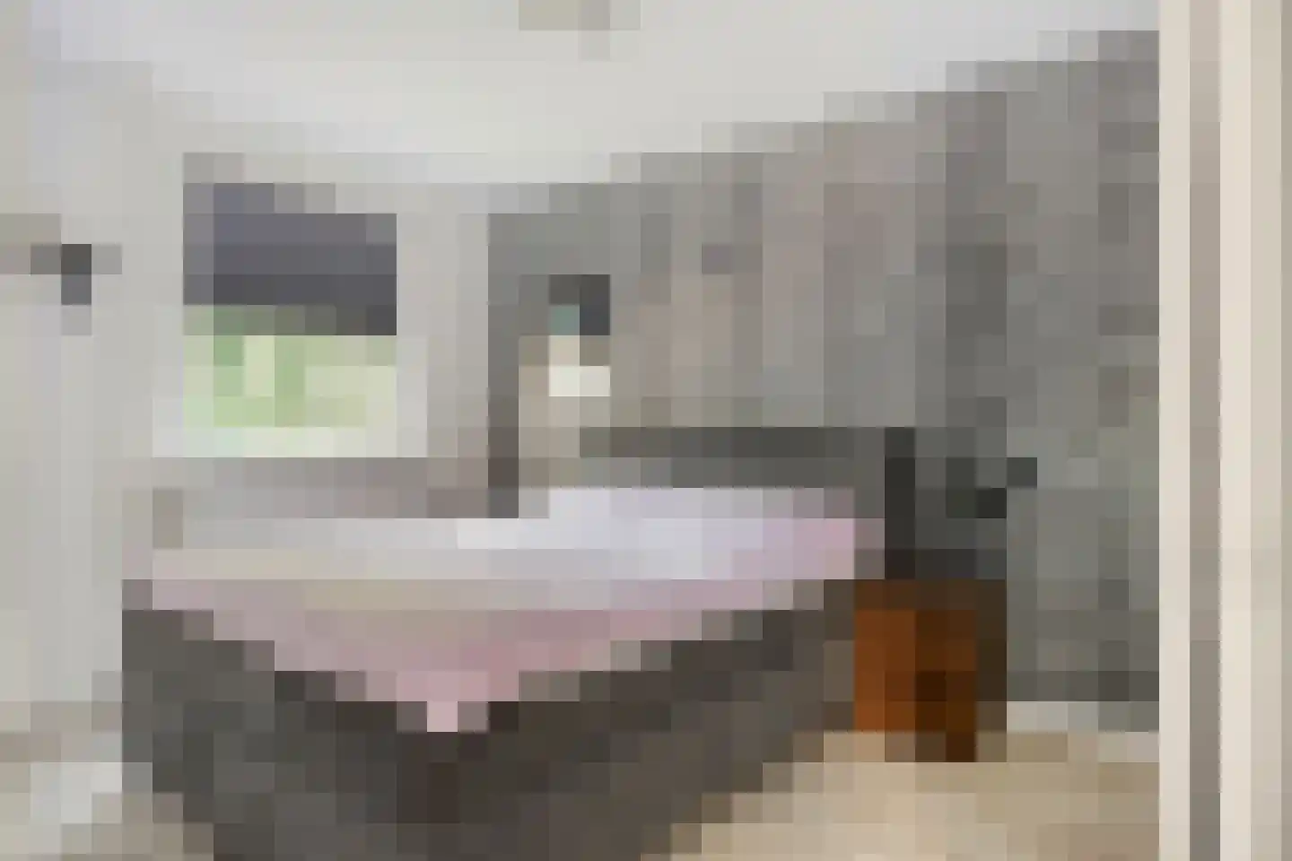 Trekvalk 46 Veenendaal thumbnail 4