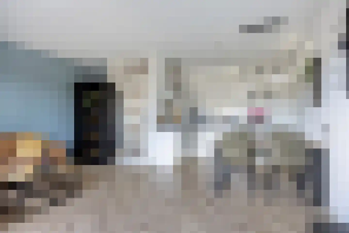 Trekvalk 46 Veenendaal thumbnail 7
