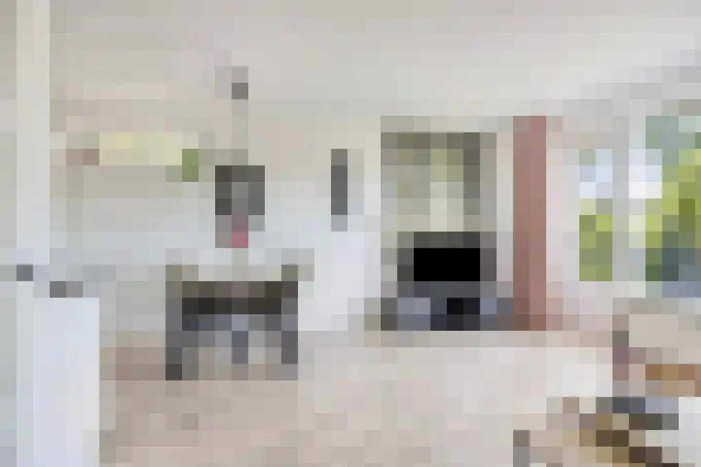 Trekvalk 46 Veenendaal thumbnail 8