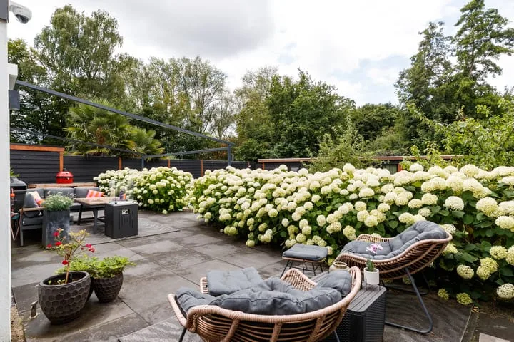 Trekvalk 6 Nieuwegein thumbnail 20
