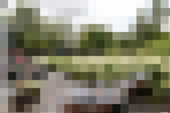 Trekvalk 6 Nieuwegein thumbnail 20
