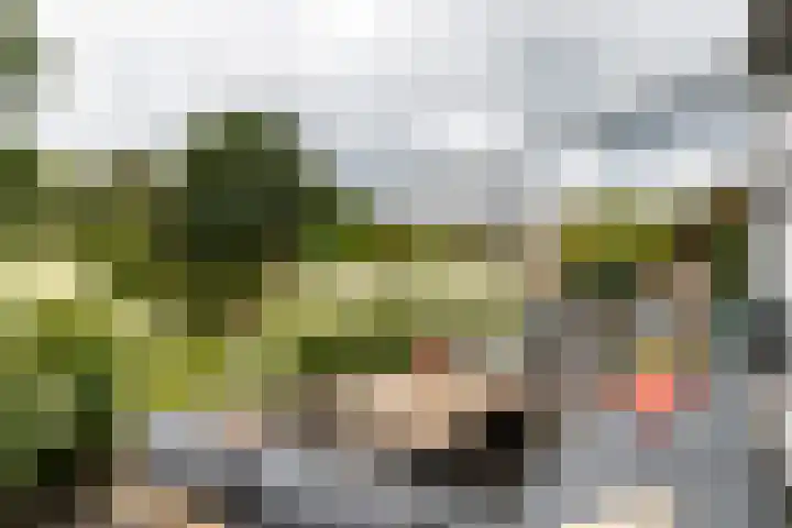 Trekvalk 6 Nieuwegein thumbnail 21