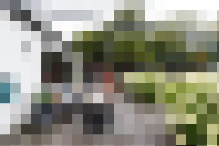 Trekvalk 6 Nieuwegein thumbnail 22