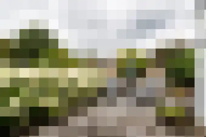 Trekvalk 6 Nieuwegein thumbnail 23